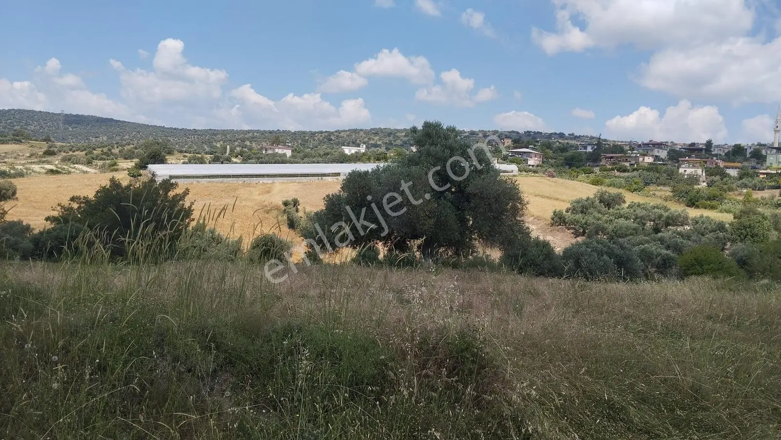 Sağlıklı Köyü (tosb) Yanı Kaçırılmayacak Yatırımlık Fırsat Arazi
