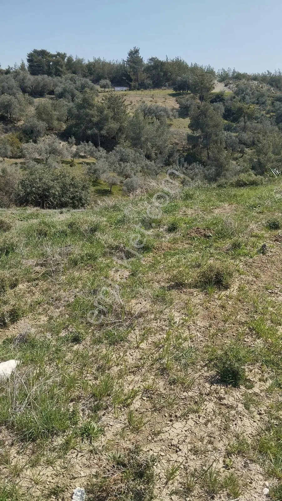 Sağlıklı Köyü (tosb) Yanı Kaçırılmayacak Yatırımlık Fırsat Arazi — fotoğraf 2