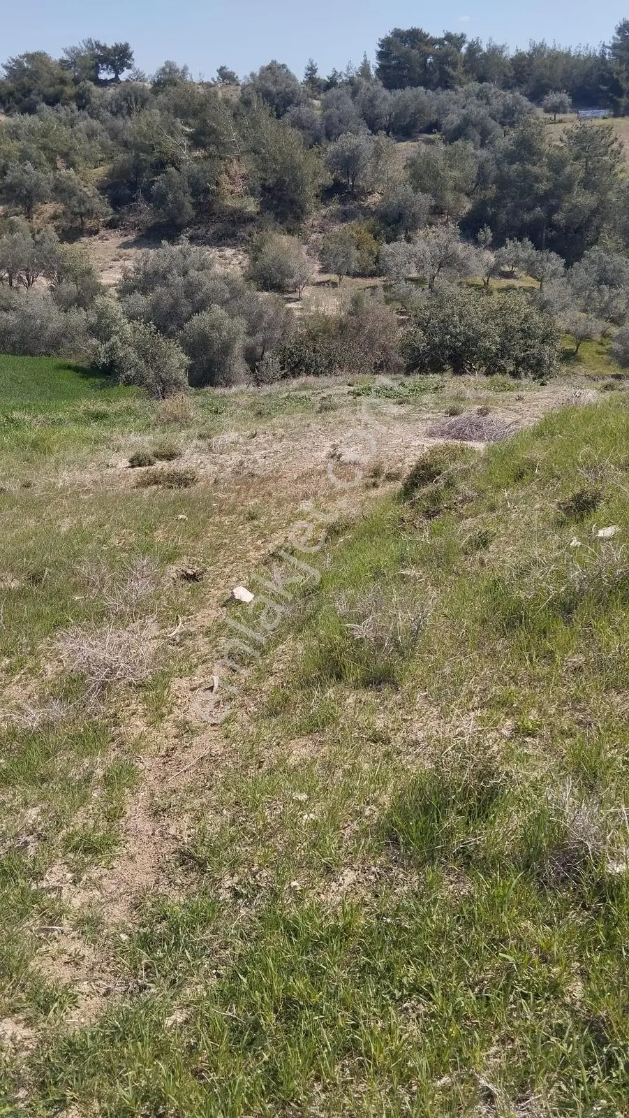 Sağlıklı Köyü (tosb) Yanı Kaçırılmayacak Yatırımlık Fırsat Arazi — fotoğraf 5