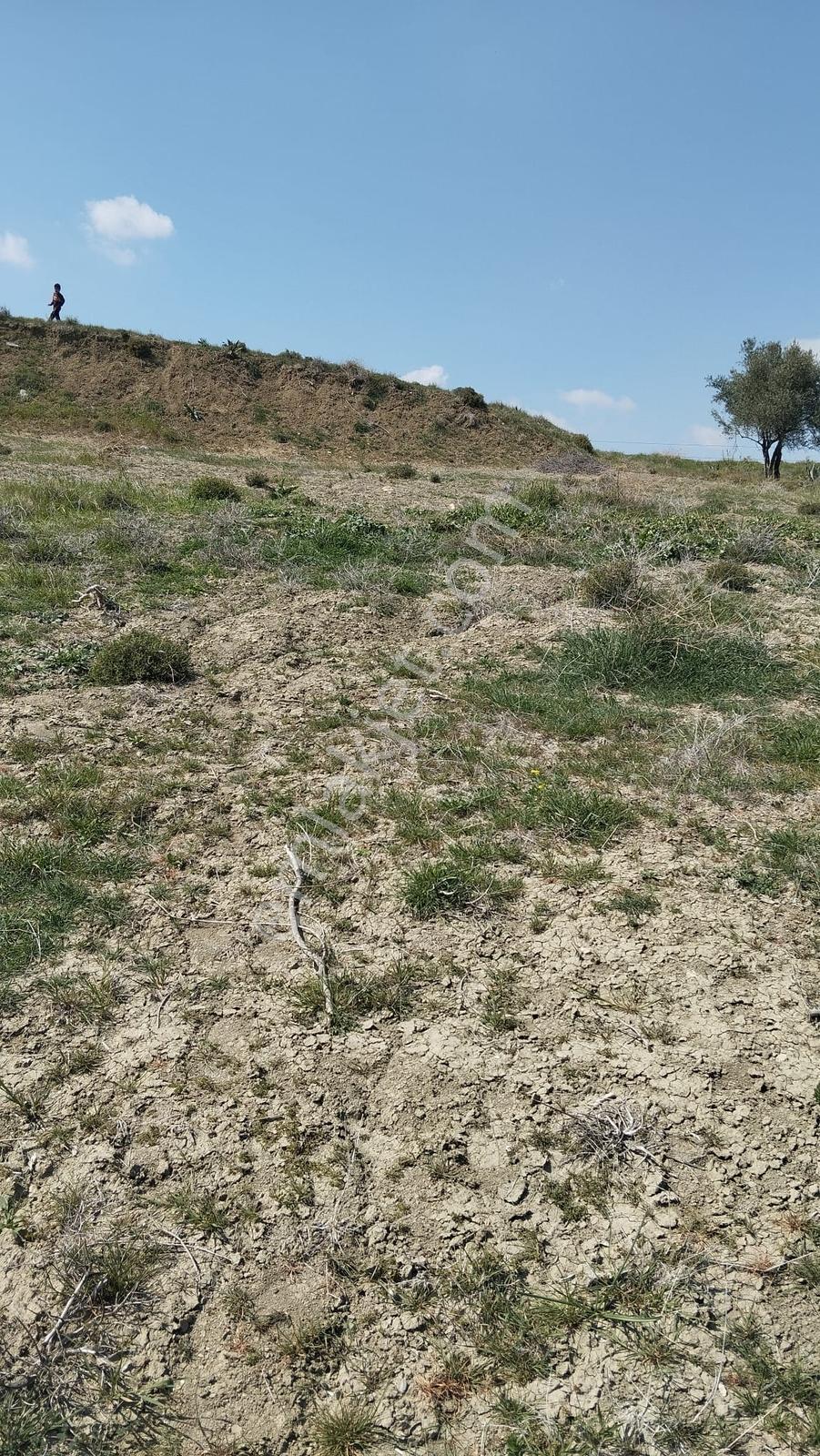 Sağlıklı Köyü (tosb) Yanı Kaçırılmayacak Yatırımlık Fırsat Arazi — fotoğraf 7