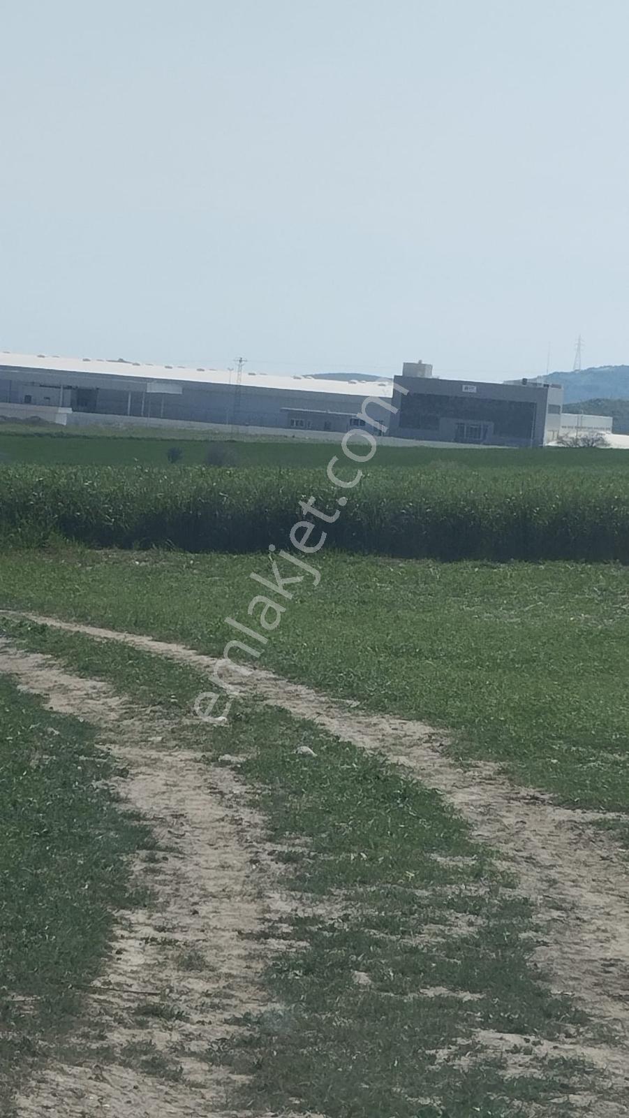 Sağlıklı Köyü (tosb) Yanı Kaçırılmayacak Yatırımlık Fırsat Arazi — fotoğraf 9
