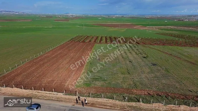 Arstu Gayrimenkul Furkan'dan Kayacıkta Tek Tapu Tarla — fotoğraf 3