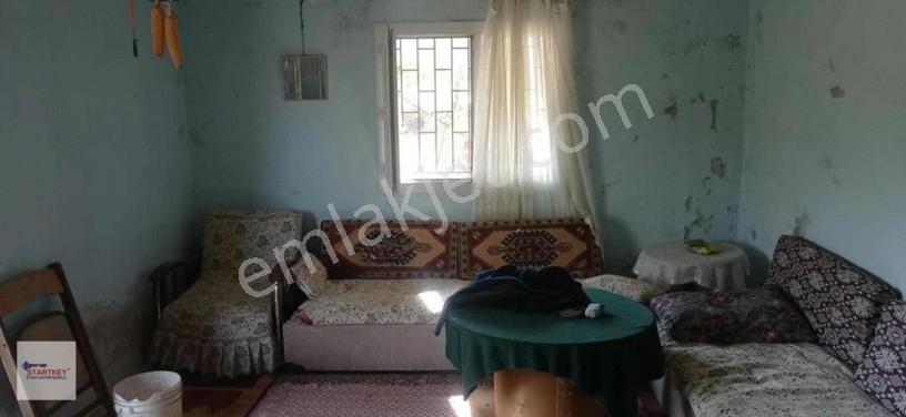 Startkey Star'dan Kayrakta Ceviz Tarlası — fotoğraf 2