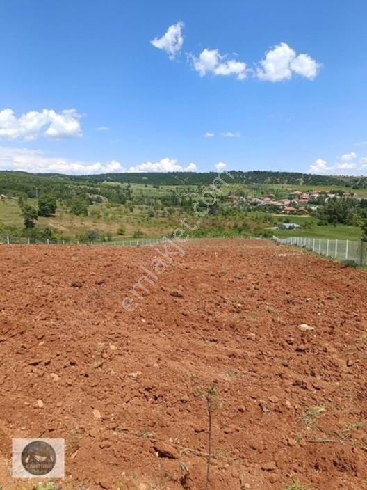 Cantürkten Çubuk Sarıkozda Satılık Arsa