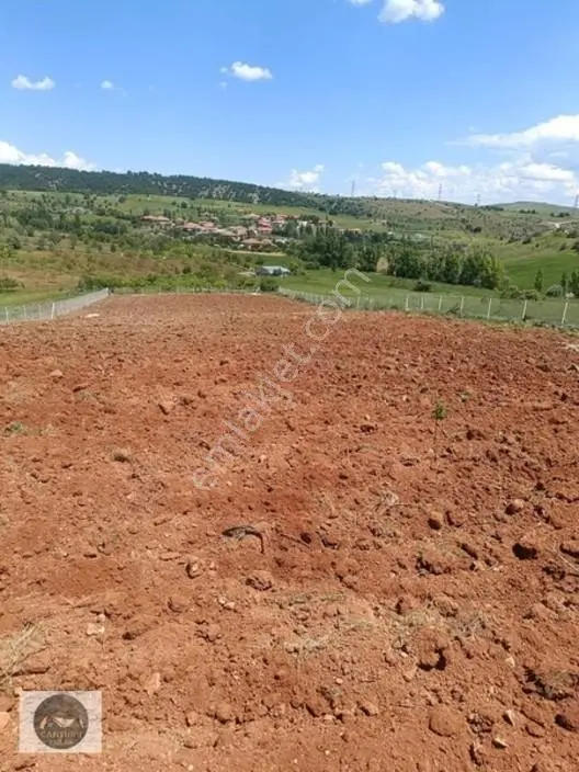 Cantürkten Çubuk Sarıkozda Satılık Arsa — fotoğraf 2