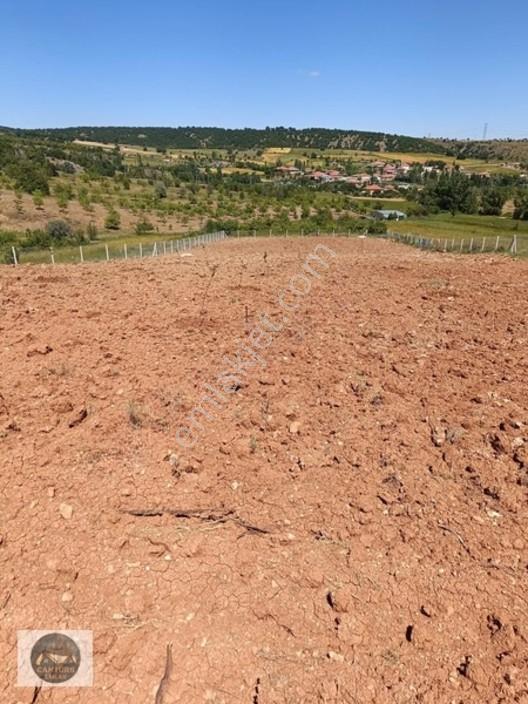 Cantürkten Çubuk Sarıkozda Satılık Arsa — fotoğraf 3