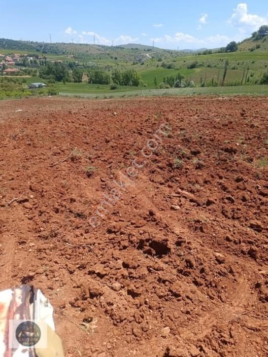 Cantürkten Çubuk Sarıkozda Satılık Arsa — fotoğraf 4