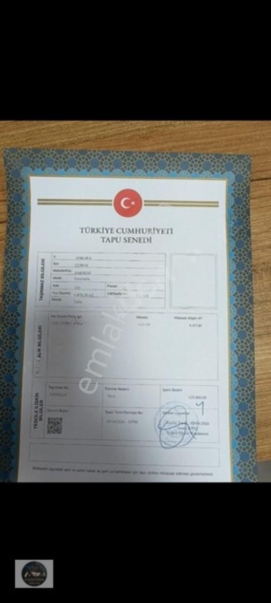 Cantürkten Çubuk Sarıkozda Satılık Arsa — fotoğraf 5
