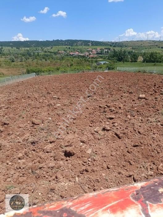 Cantürkten Çubuk Sarıkozda Satılık Arsa — fotoğraf 8