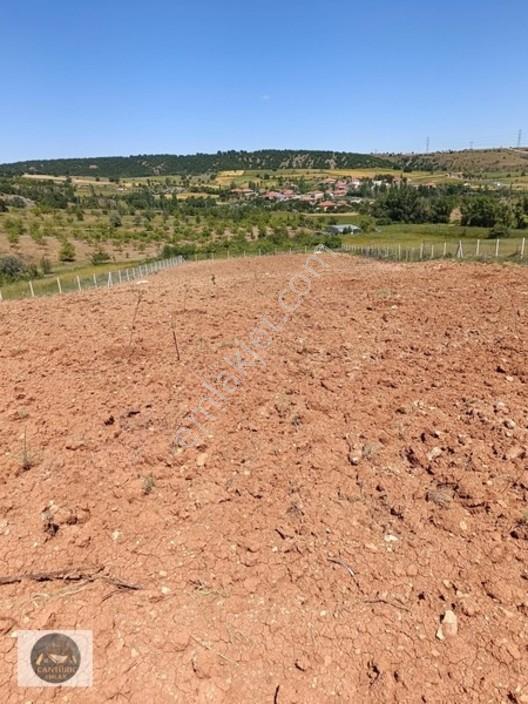 Cantürkten Çubuk Sarıkozda Satılık Arsa — fotoğraf 10