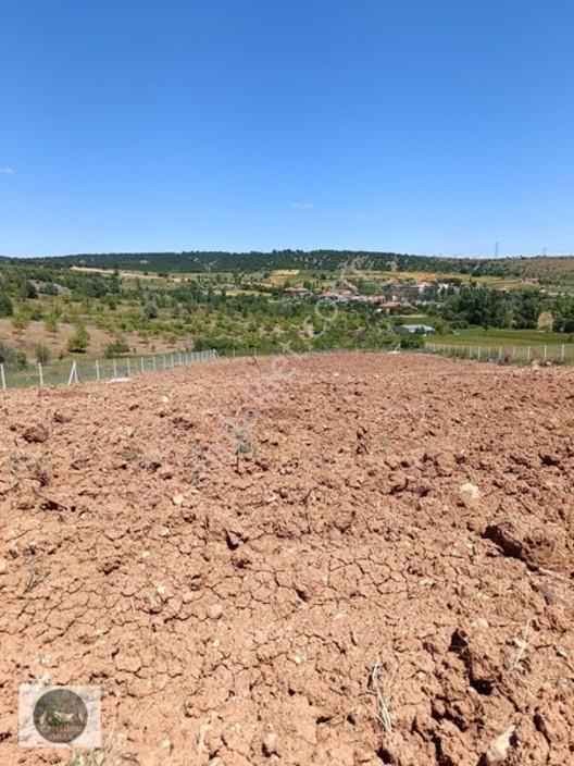 Cantürkten Çubuk Sarıkozda Satılık Arsa — fotoğraf 12
