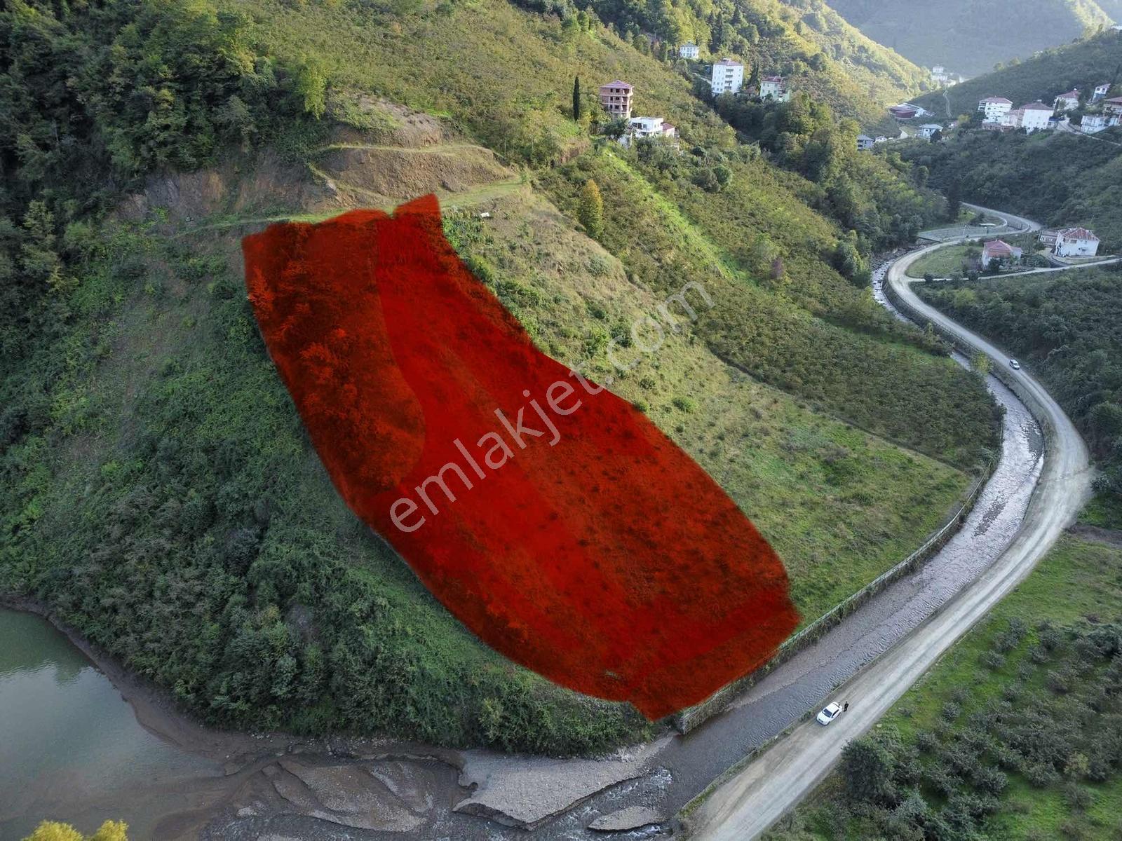 Trabzon Akçabatta Fırsat Arazi