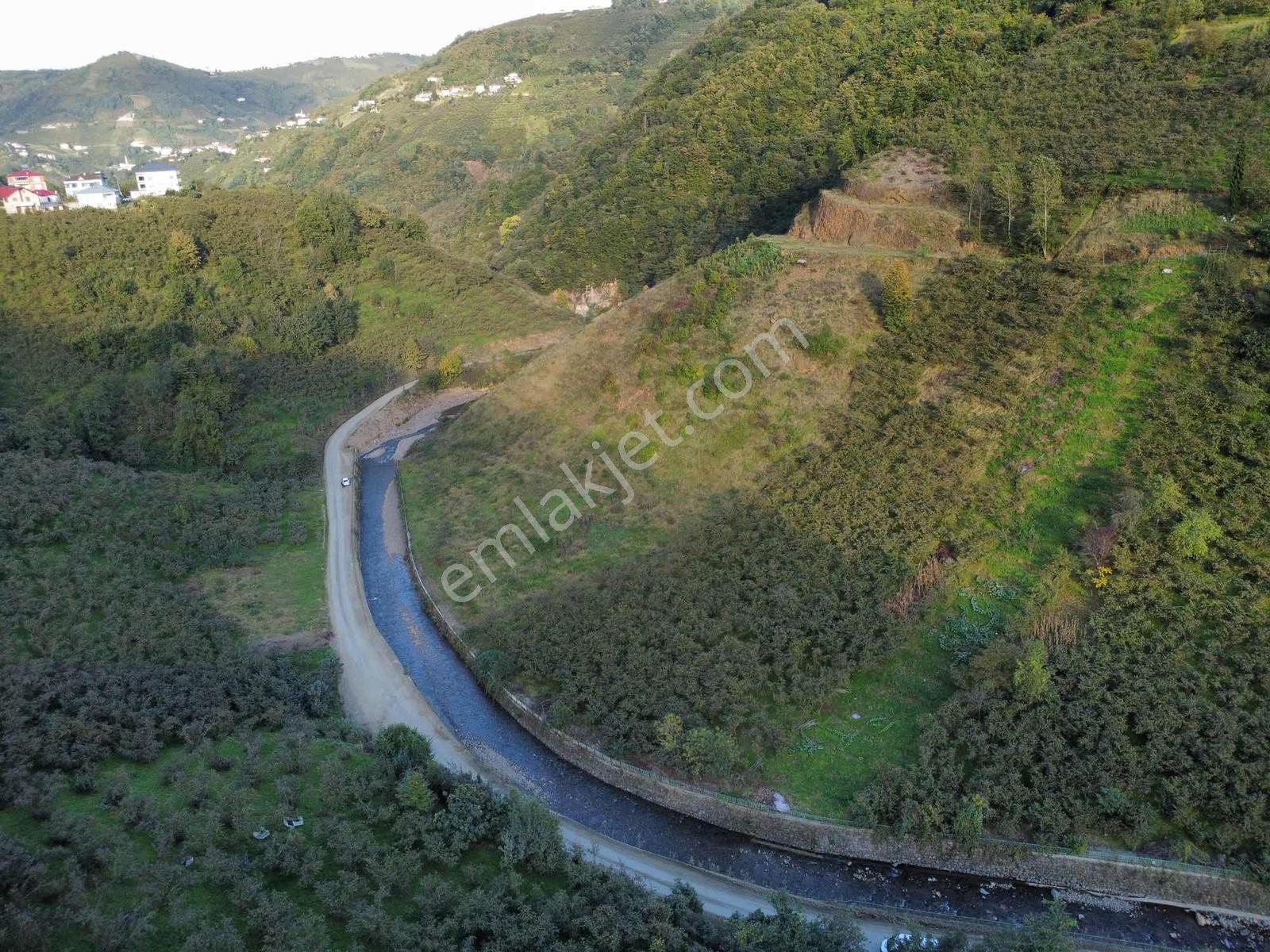 Trabzon Akçabatta Fırsat Arazi — fotoğraf 7