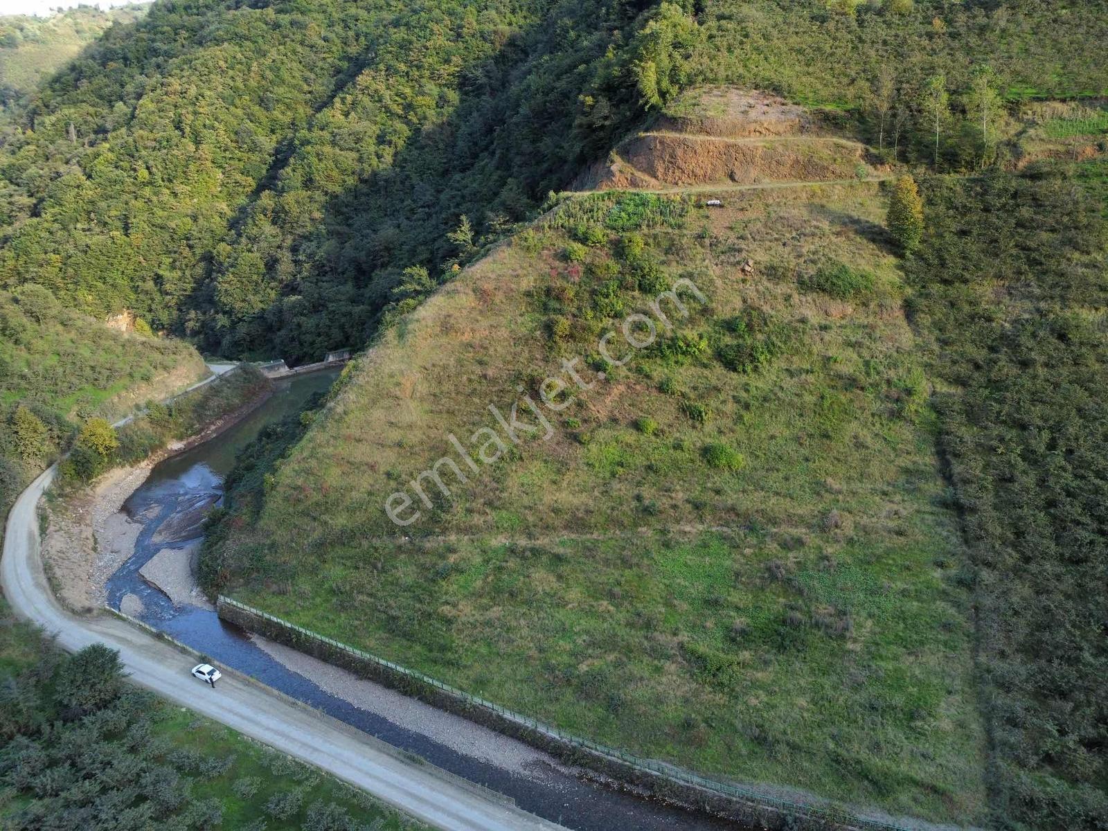 Trabzon Akçabatta Fırsat Arazi — fotoğraf 13