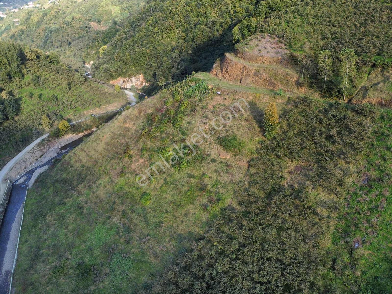 Trabzon Akçabatta Fırsat Arazi — fotoğraf 16
