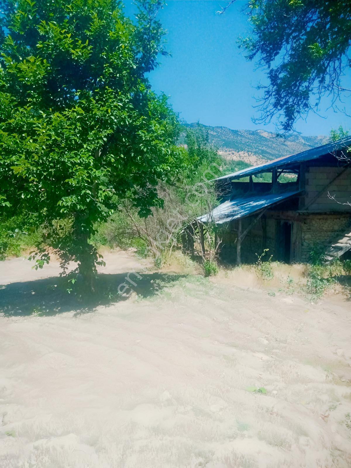 Saimbeyli /gürleşende Satılık Ev Ve Bahçe 3800m² — fotoğraf 3