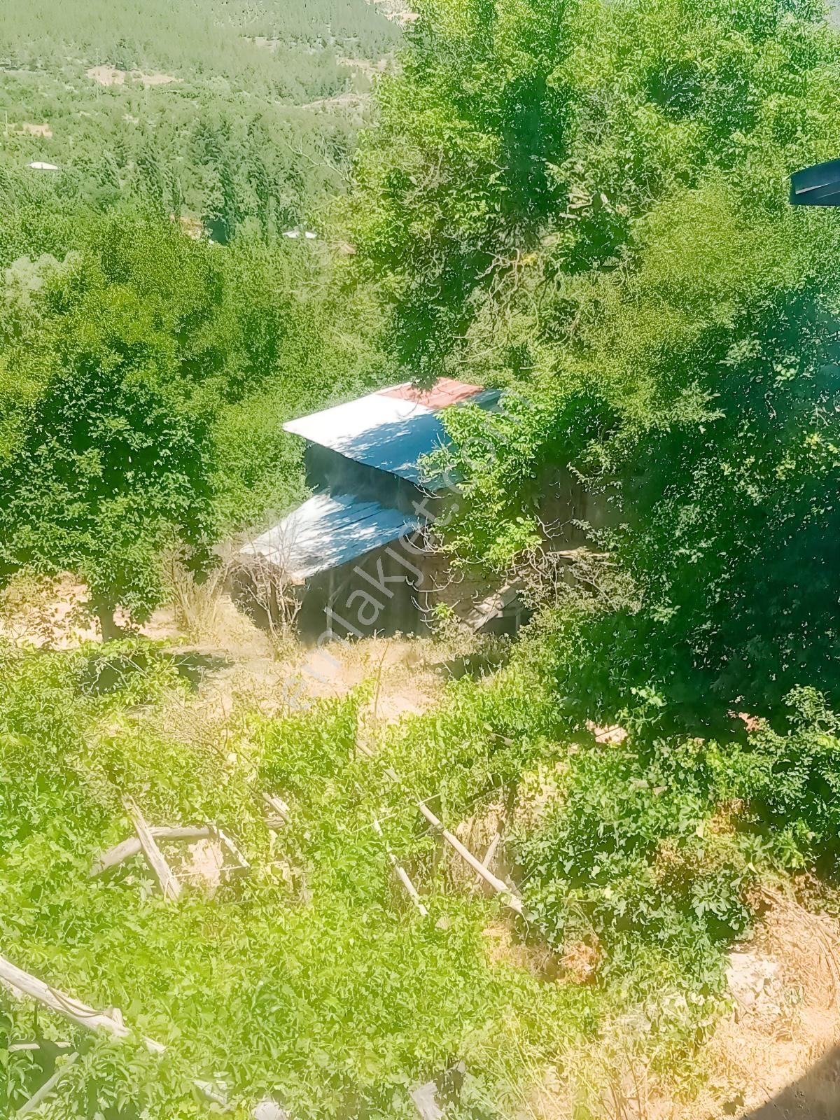 Saimbeyli /gürleşende Satılık Ev Ve Bahçe 3800m² — fotoğraf 4