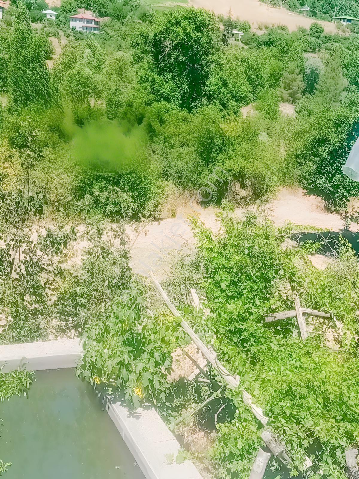 Saimbeyli /gürleşende Satılık Ev Ve Bahçe 3800m² — fotoğraf 8