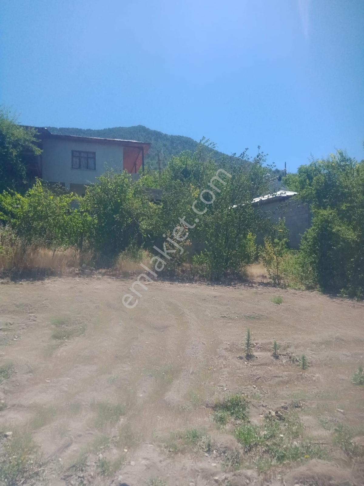 Saimbeyli /gürleşende Satılık Ev Ve Bahçe 3800m² — fotoğraf 10