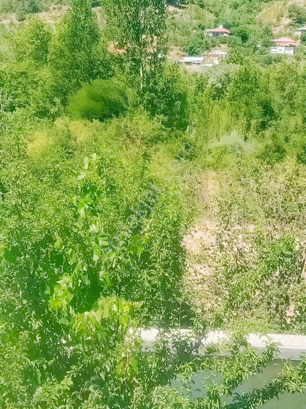 Saimbeyli /gürleşende Satılık Ev Ve Bahçe 3800m² — fotoğraf 12