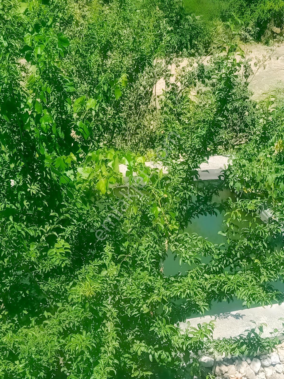 Saimbeyli /gürleşende Satılık Ev Ve Bahçe 3800m² — fotoğraf 15