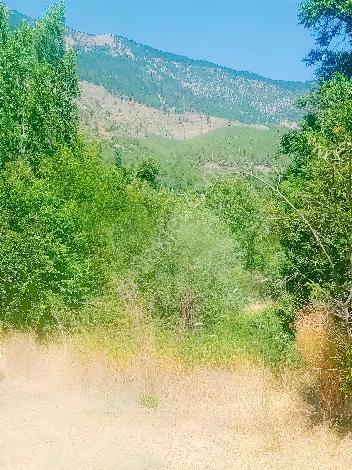 Saimbeyli /gürleşende Satılık Ev Ve Bahçe 3800m² — fotoğraf 16