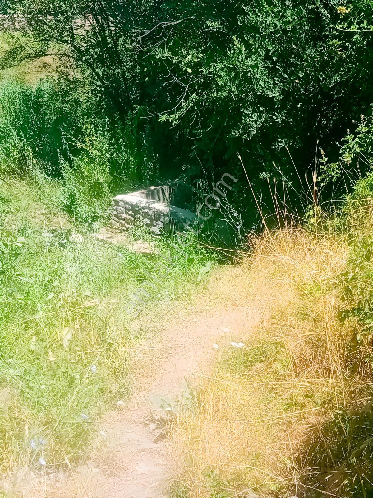 Saimbeyli /gürleşende Satılık Ev Ve Bahçe 3800m² — fotoğraf 17