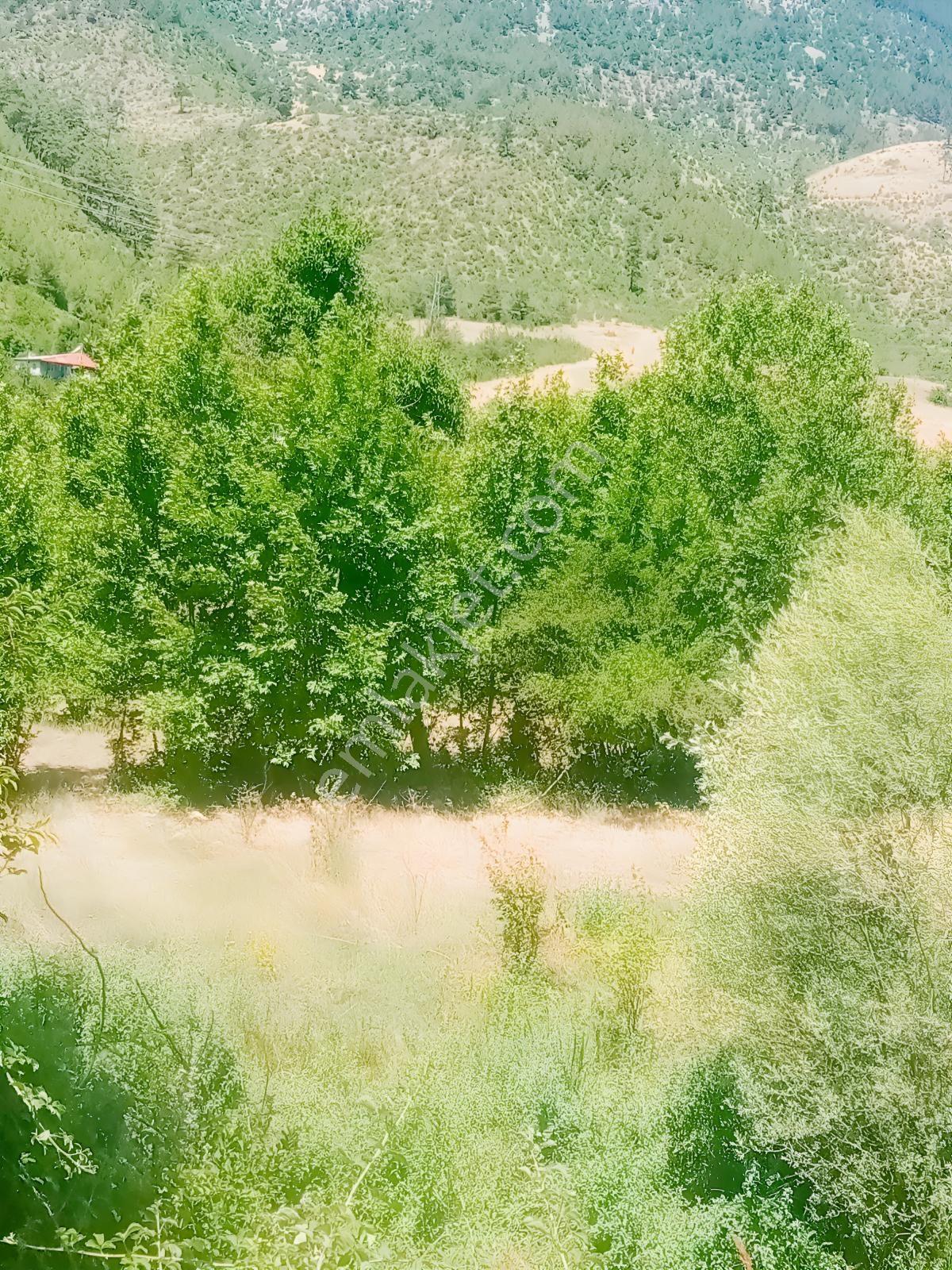 Saimbeyli /gürleşende Satılık Ev Ve Bahçe 3800m² — fotoğraf 18
