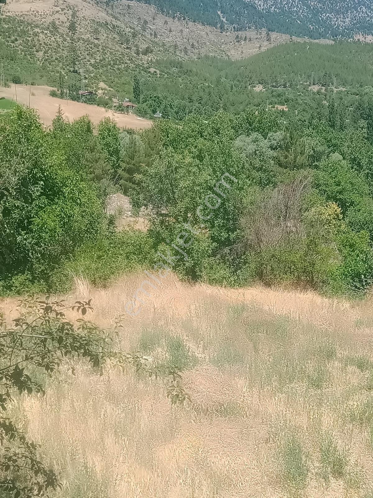 Saimbeyli /gürleşende Satılık Ev Ve Bahçe 3800m² — fotoğraf 20