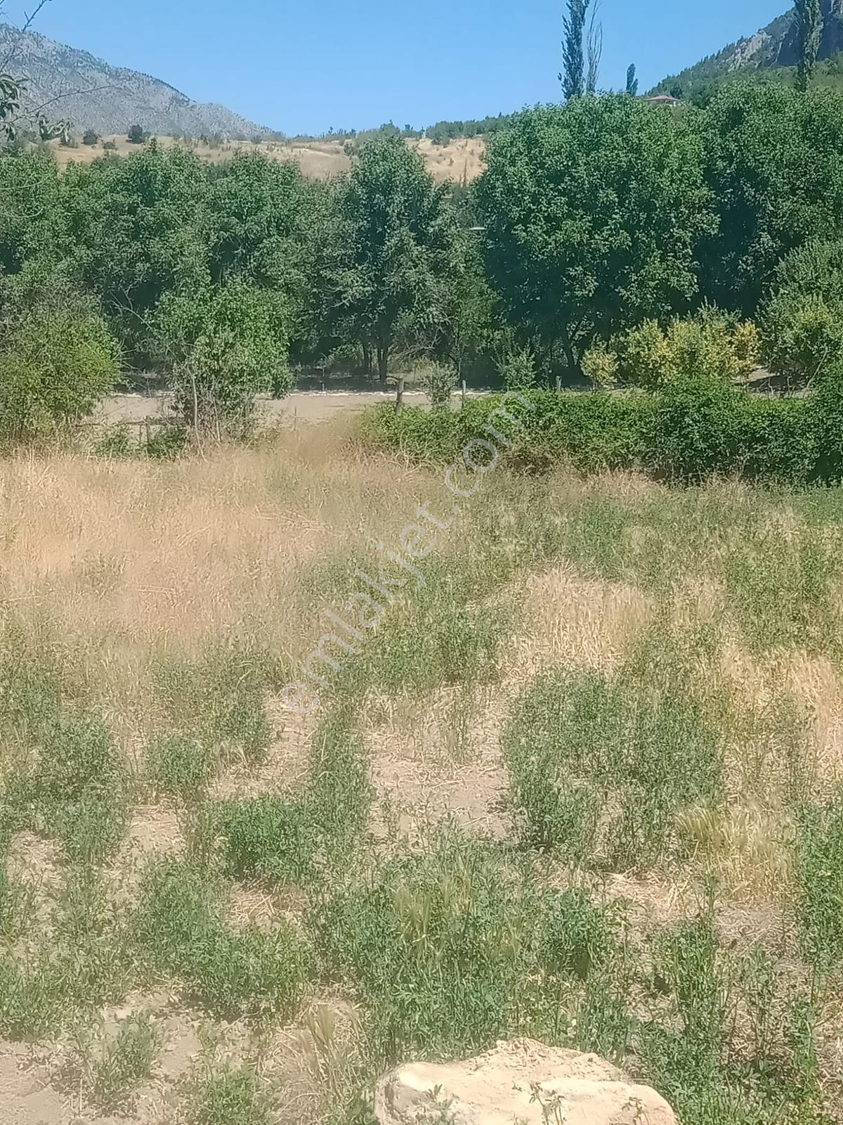 Saimbeyli /gürleşende Satılık Ev Ve Bahçe 3800m² — fotoğraf 23