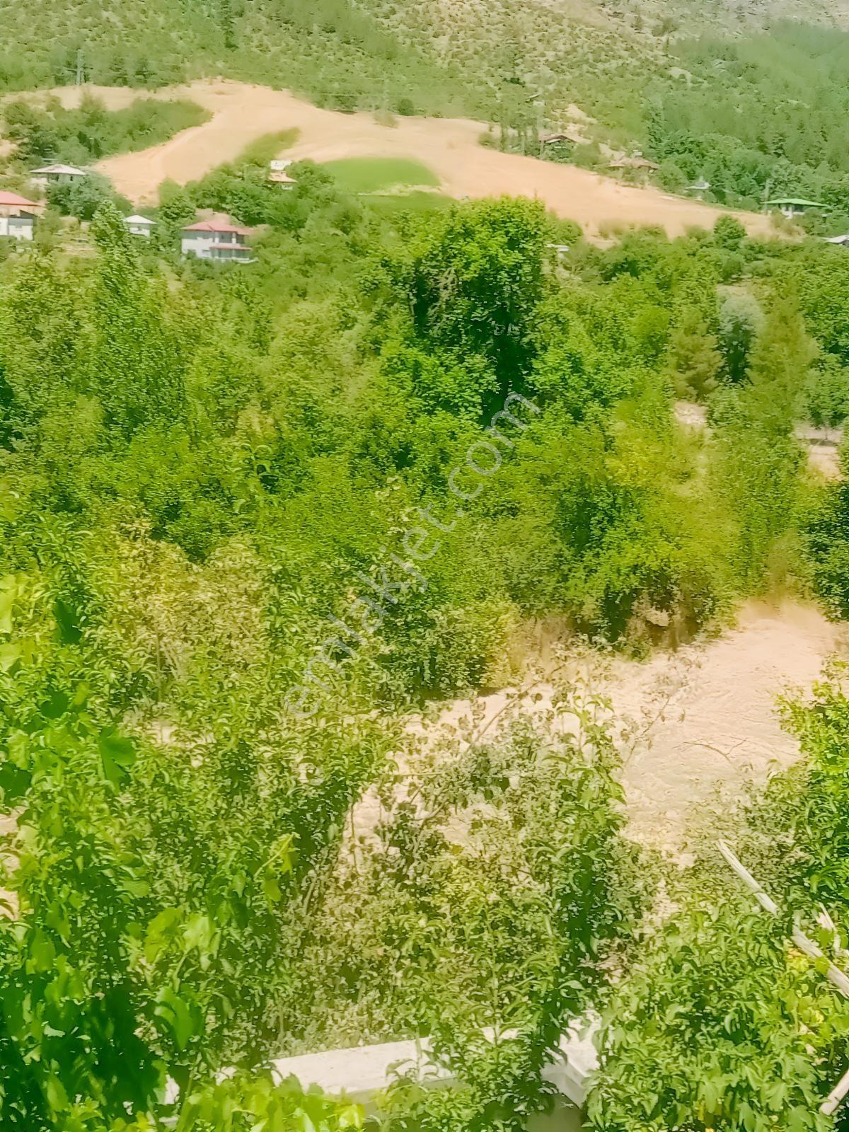 Saimbeyli /gürleşende Satılık Ev Ve Bahçe 3800m² — fotoğraf 26