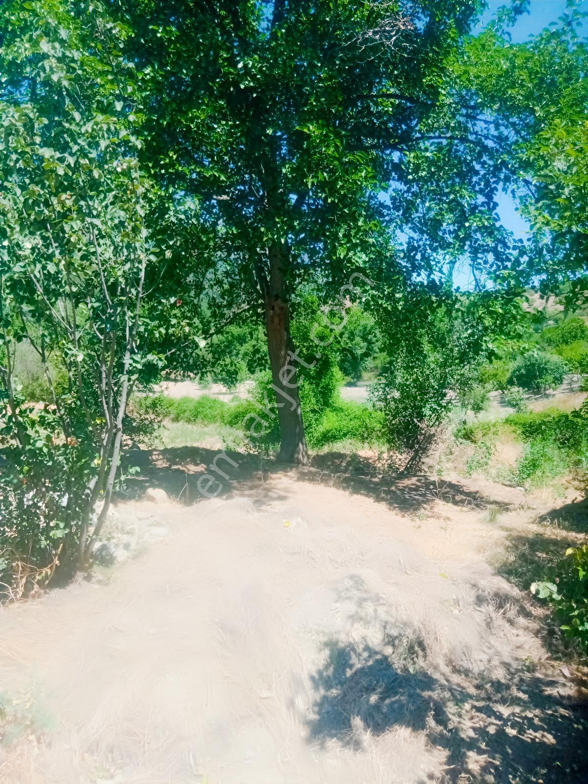Saimbeyli /gürleşende Satılık Ev Ve Bahçe 3800m² — fotoğraf 27