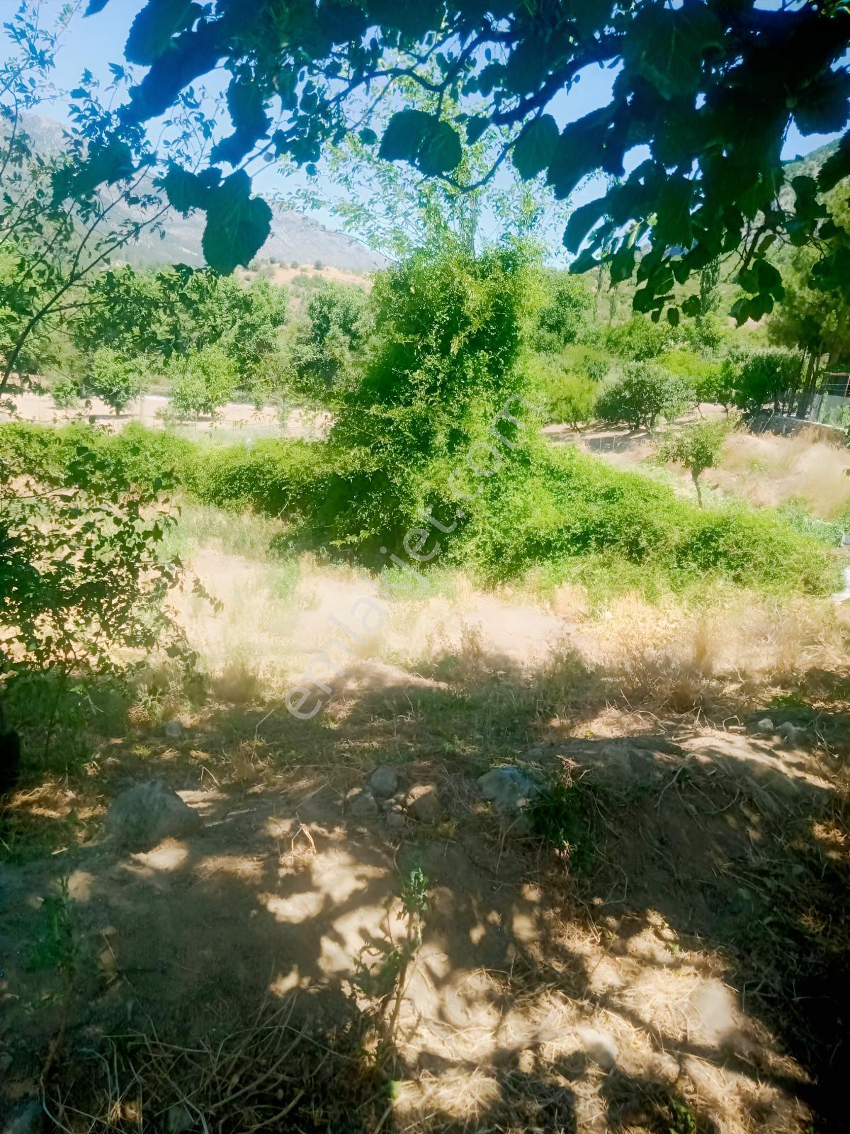 Saimbeyli /gürleşende Satılık Ev Ve Bahçe 3800m² — fotoğraf 29