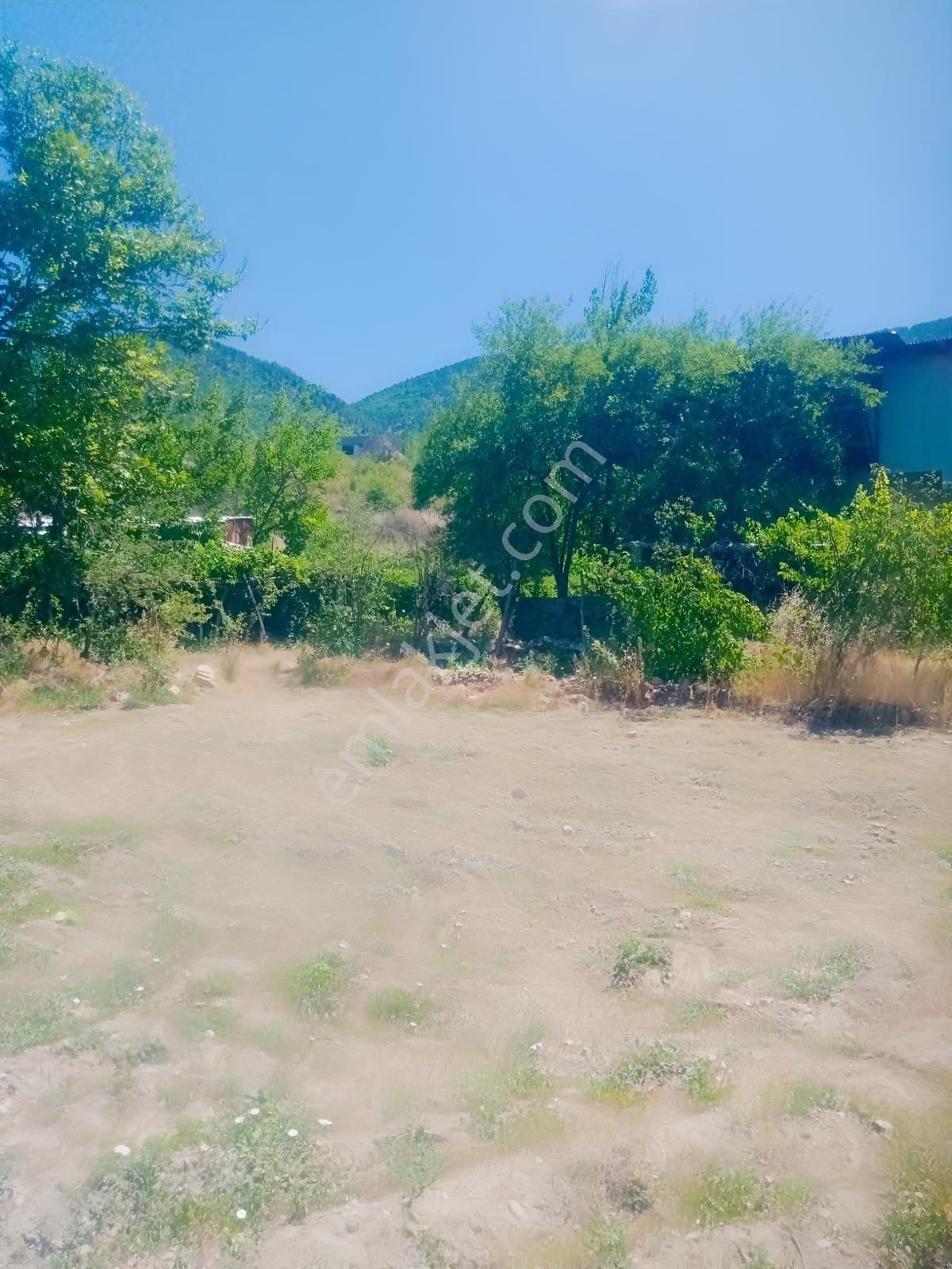 Saimbeyli /gürleşende Satılık Ev Ve Bahçe 3800m² — fotoğraf 32