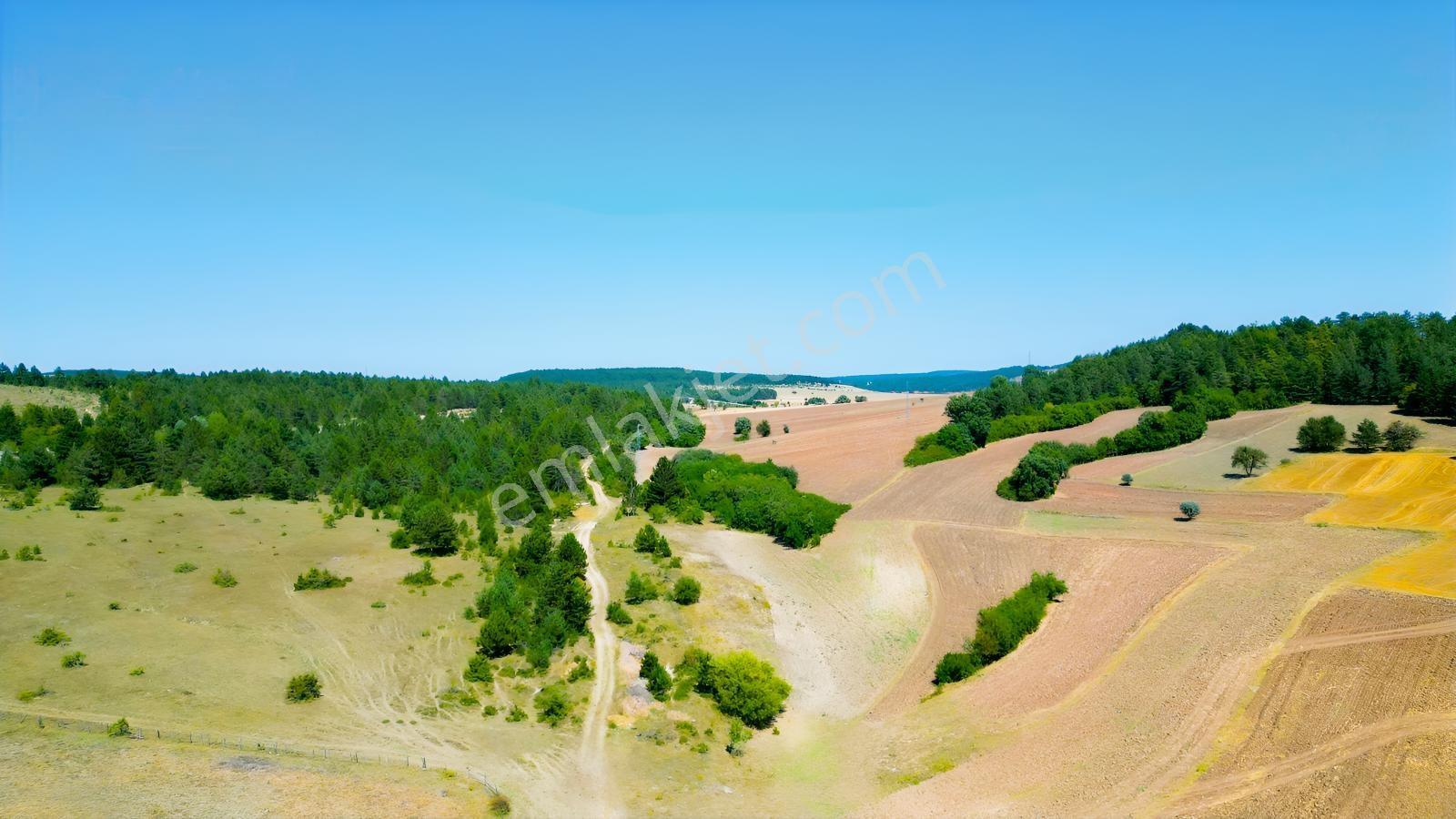 Garanti Emlak'tan Merkeze 17 Km Yol Cepheli Fırsat Fiyat Arsalar — fotoğraf 26