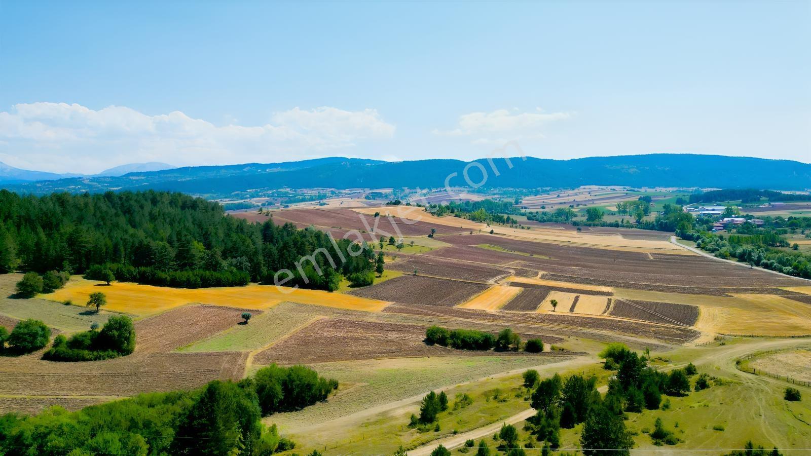 Garanti Emlak'tan Merkeze 17 Km Yol Cepheli Fırsat Fiyat Arsalar — fotoğraf 29