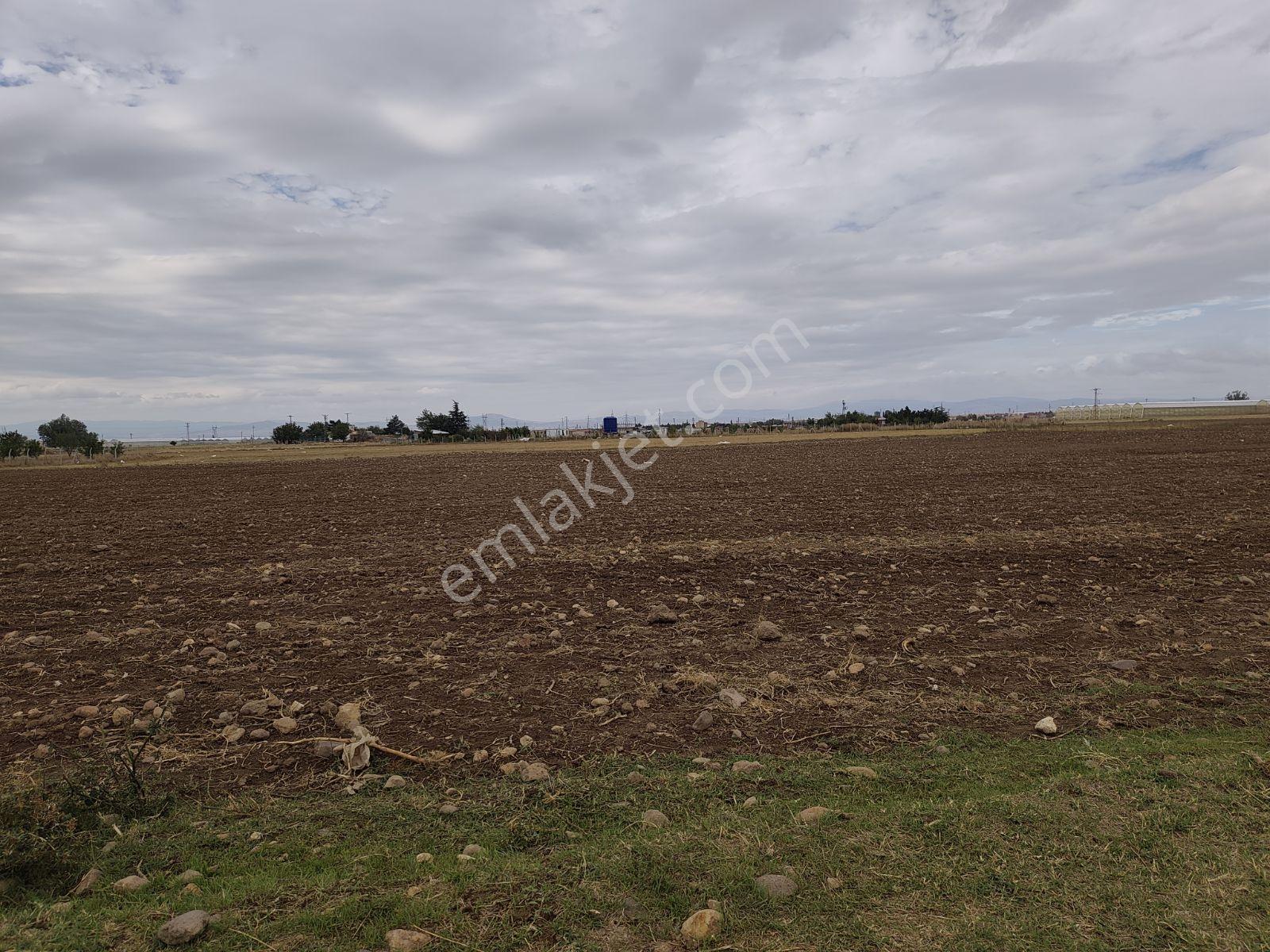 Sandıklı Merkezde 2050 Mt Arazi.tek Tapu — fotoğraf 3