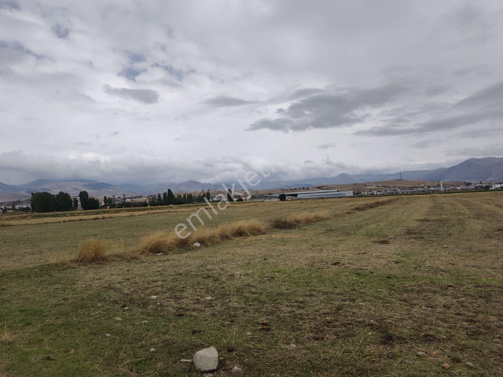 Sandıklı Merkezde 2050 Mt Arazi.tek Tapu — fotoğraf 4