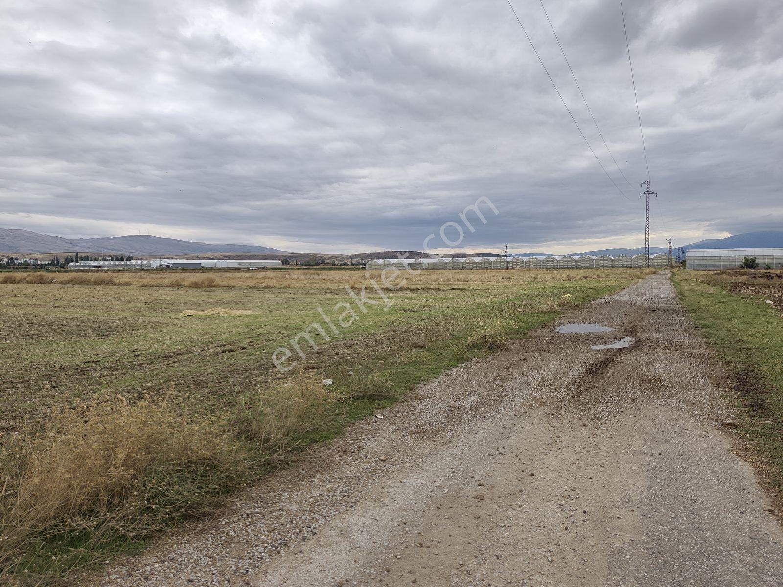 Sandıklı Merkezde 2050 Mt Arazi.tek Tapu — fotoğraf 6