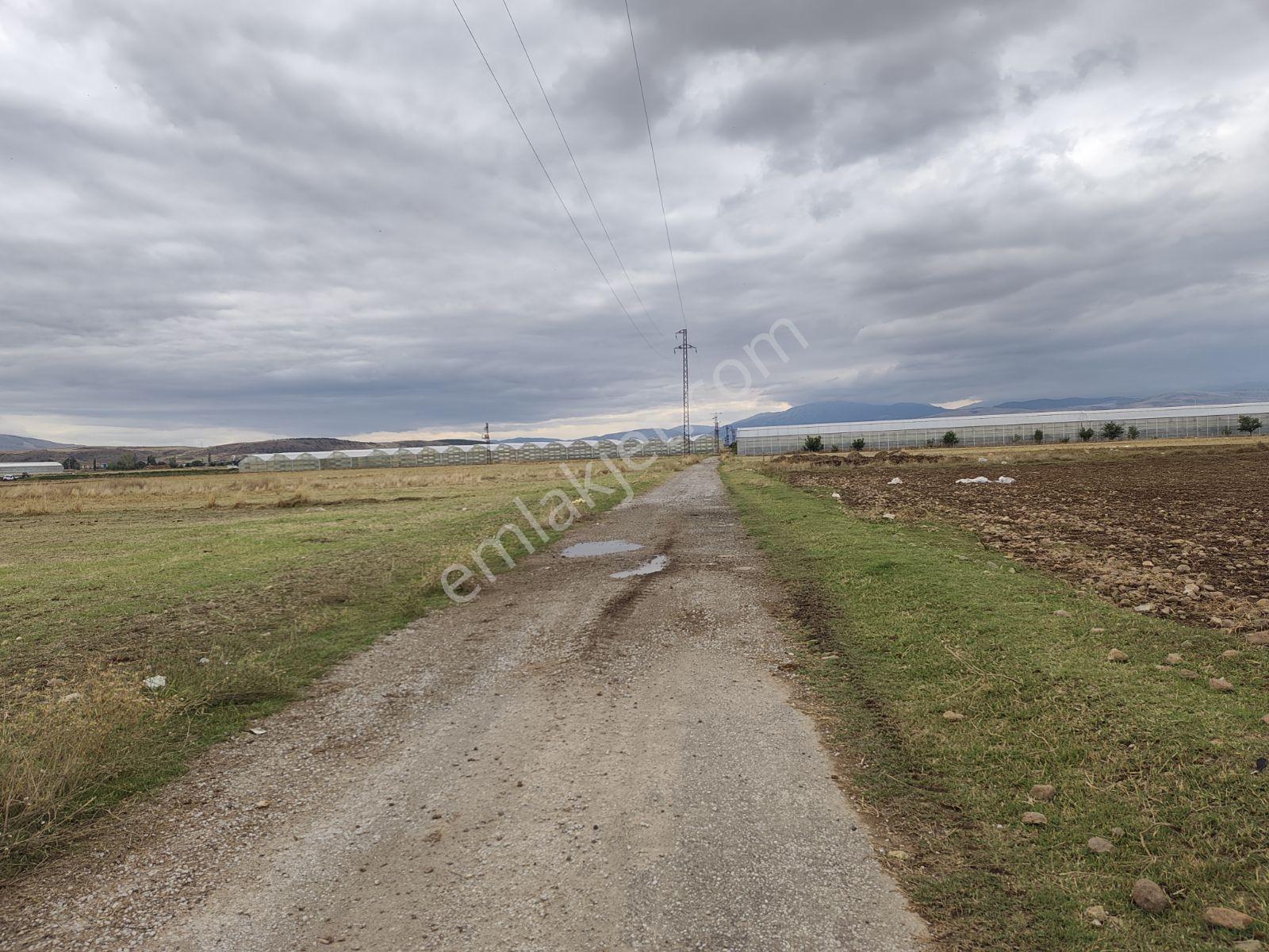 Sandıklı Merkezde 2050 Mt Arazi.tek Tapu — fotoğraf 7