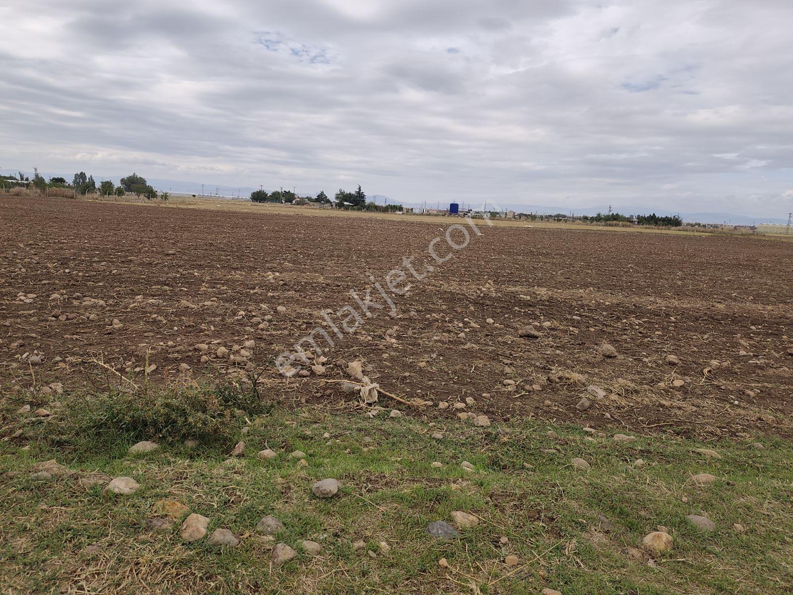 Sandıklı Merkezde 2050 Mt Arazi.tek Tapu — fotoğraf 9