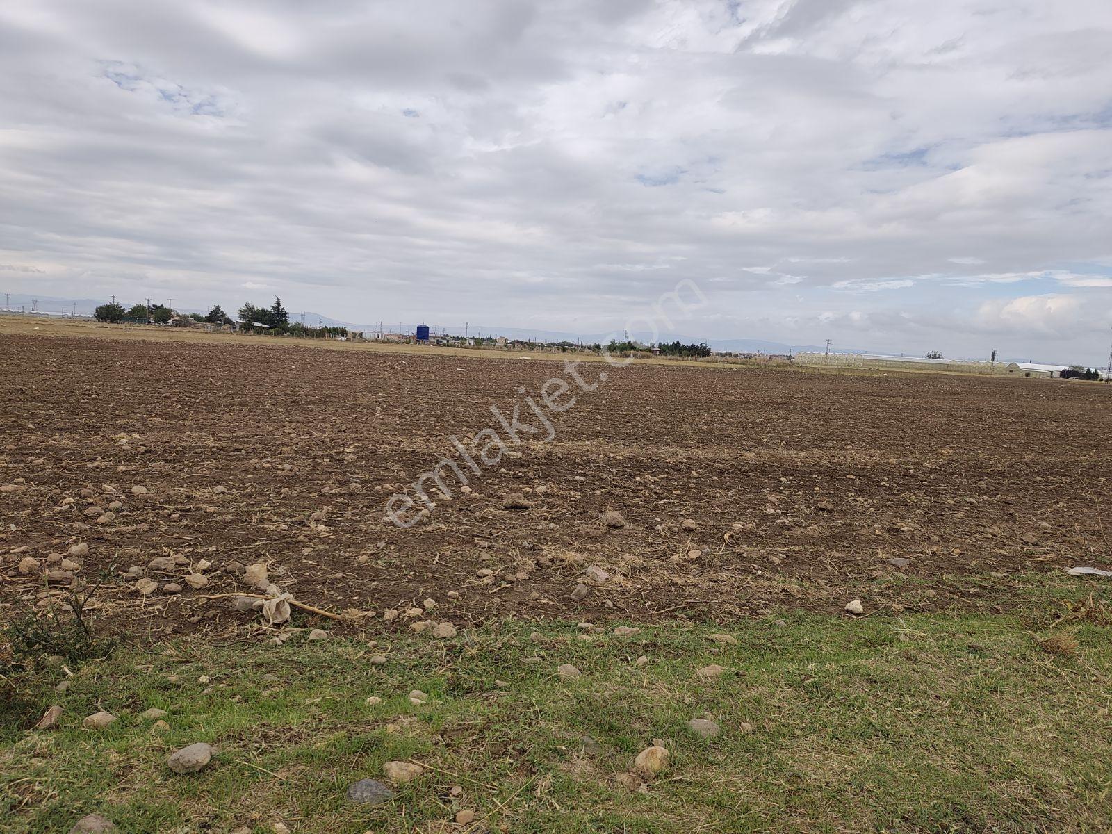 Sandıklı Merkezde 2050 Mt Arazi.tek Tapu — fotoğraf 10