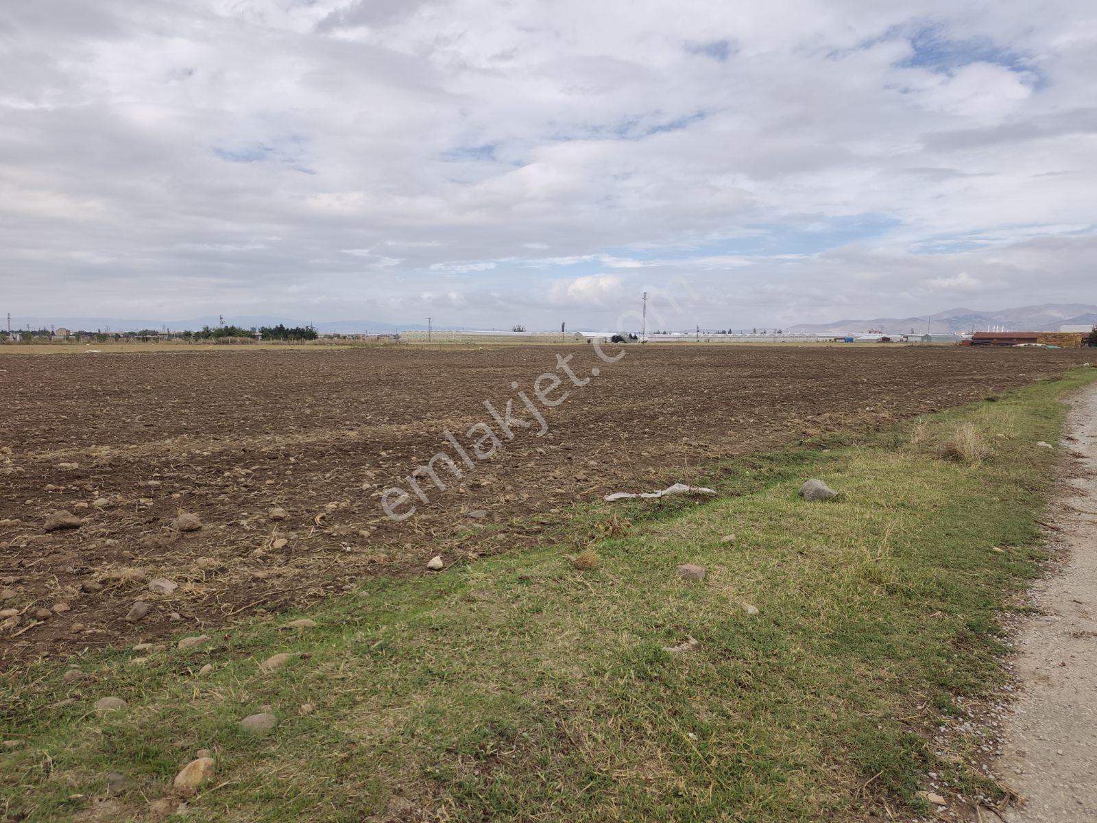 Sandıklı Merkezde 2050 Mt Arazi.tek Tapu — fotoğraf 12