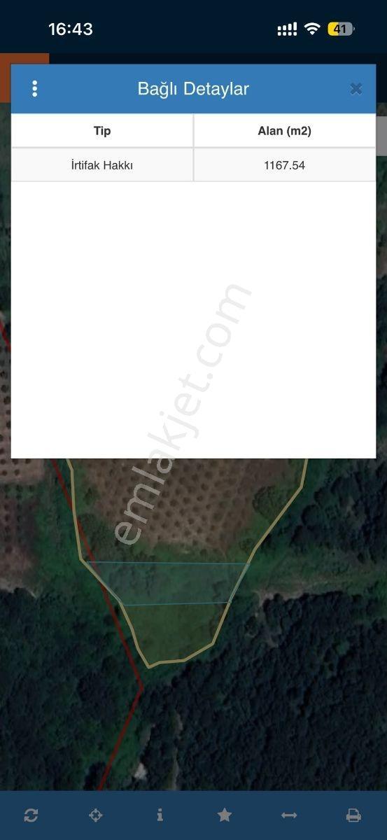 Bursa Mudanya Hançerli'de Satılık 14900 M2 Zeytinlik — fotoğraf 5