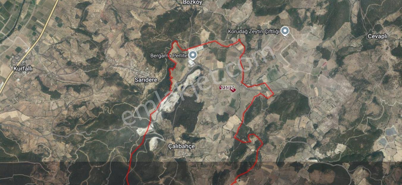 Bergama Çalıbahçe'de Satılık 11203 M2 Yatırımlık Zeytinlik — fotoğraf 11