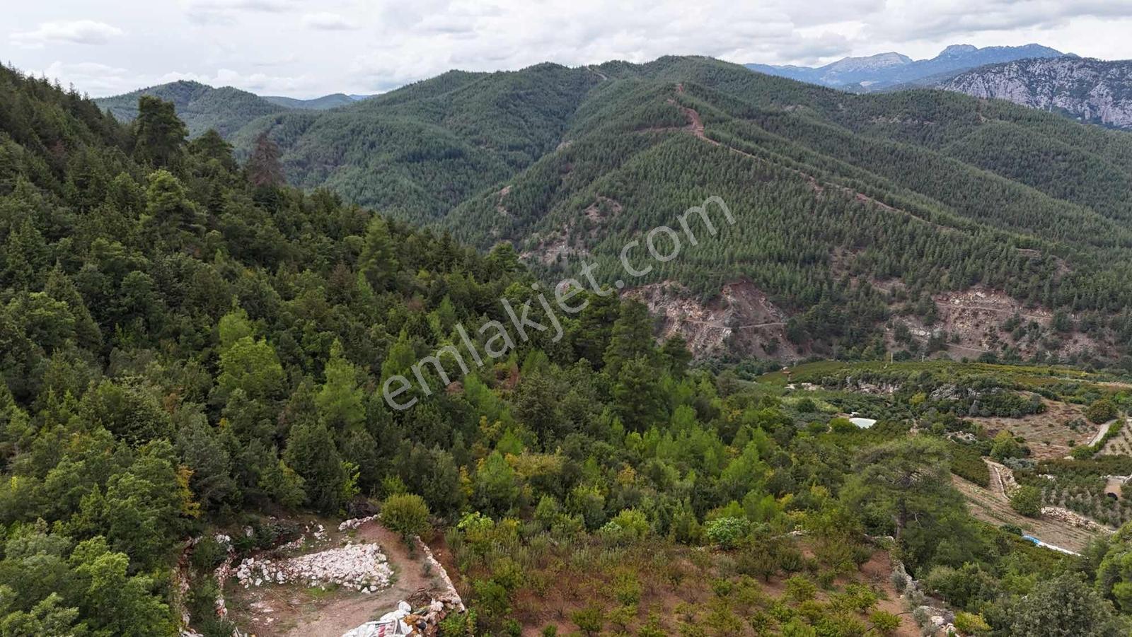 Toroslar Yeniköy Yaylasında 5.487 M2 Kıymetli Arazi — fotoğraf 2