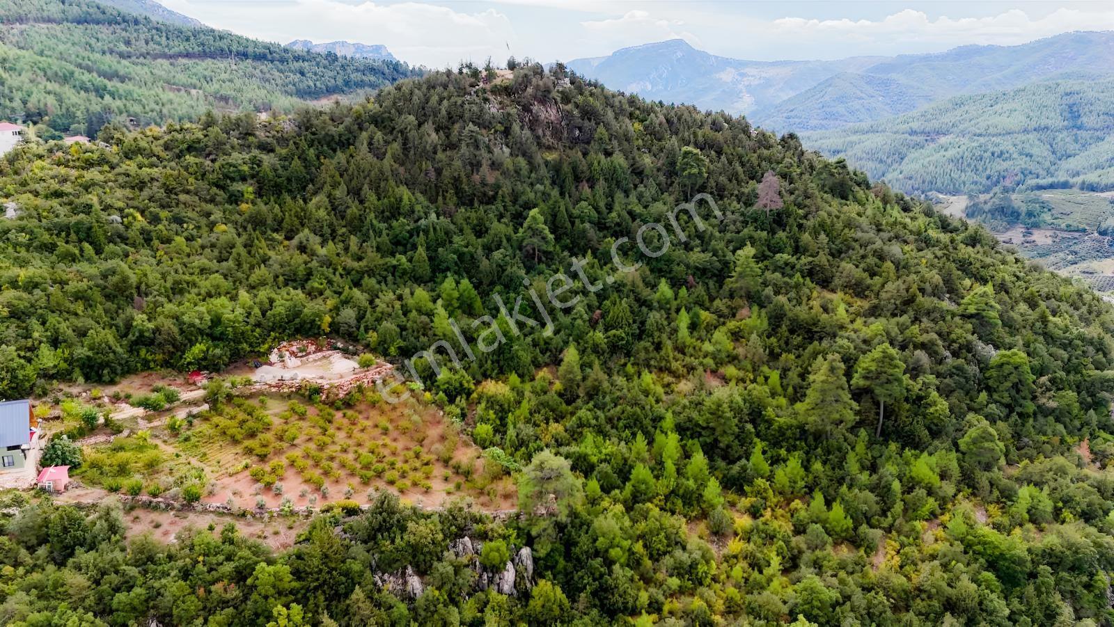 Toroslar Yeniköy Yaylasında 5.487 M2 Kıymetli Arazi — fotoğraf 4