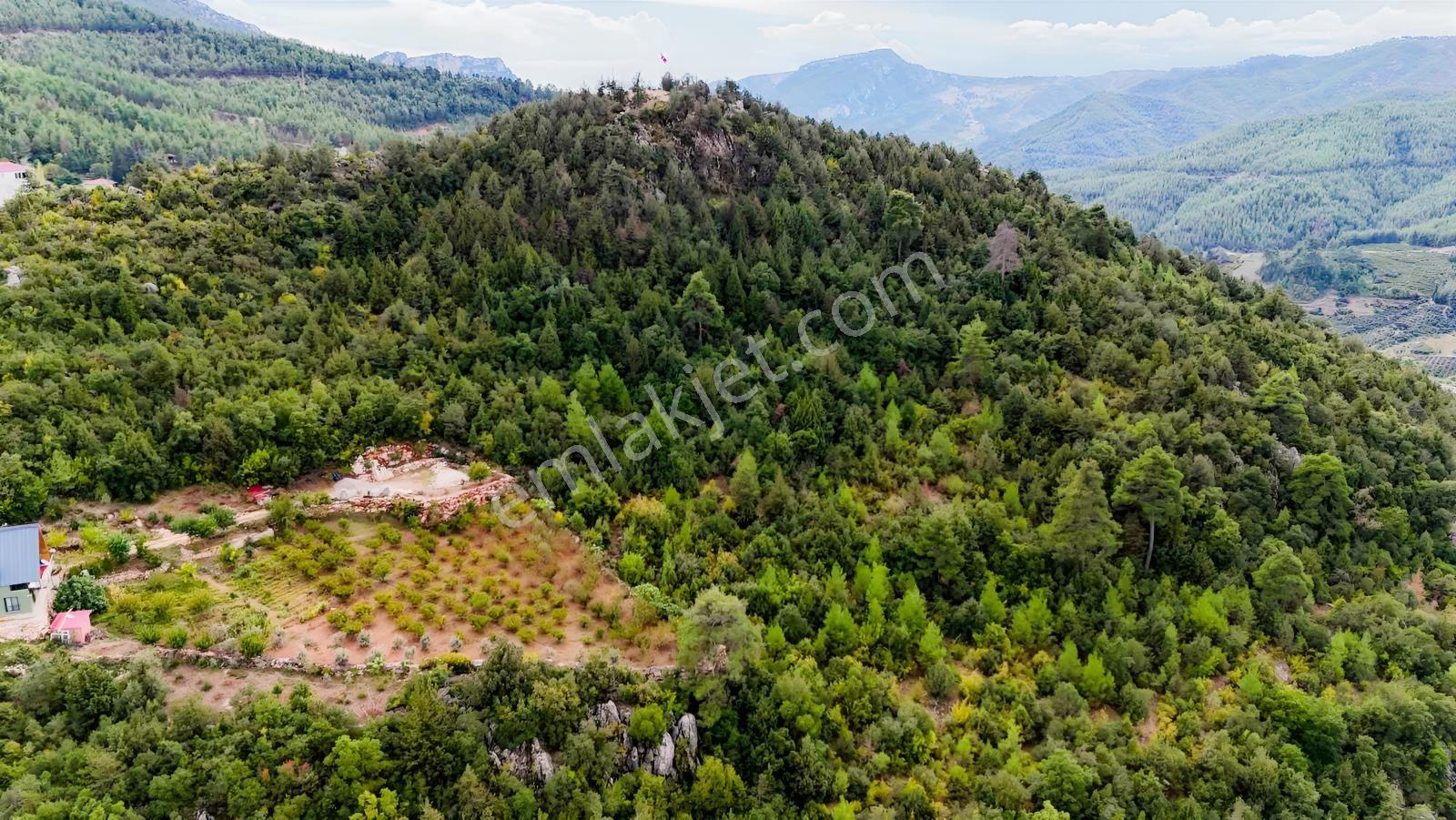 Toroslar Yeniköy Yaylasında 5.487 M2 Kıymetli Arazi — fotoğraf 5
