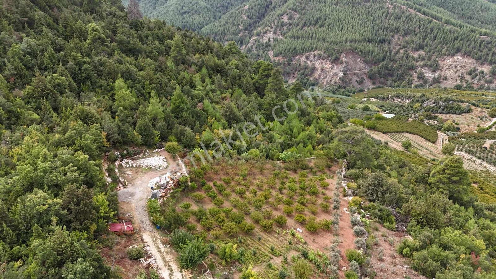 Toroslar Yeniköy Yaylasında 5.487 M2 Kıymetli Arazi — fotoğraf 6