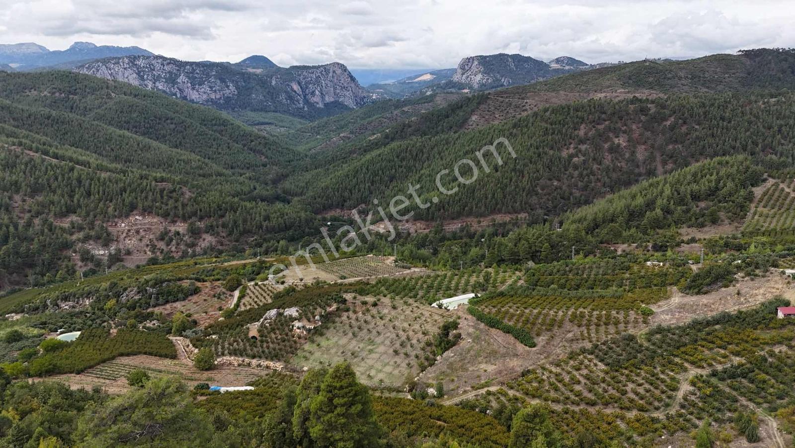 Toroslar Yeniköy Yaylasında 5.487 M2 Kıymetli Arazi — fotoğraf 7